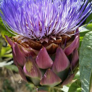 Meet your Posher, Christiane